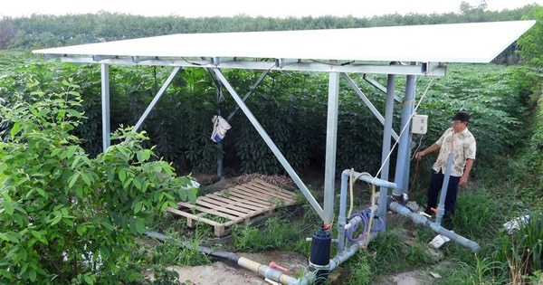 Nông dân Tây Ninh dùng năng lượng mặt trời kết hợp tưới nhỏ giọt cho khoai mì, giảm phát thải CO2 - Ảnh 1.